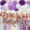 Purple-White Lavender Party Decorations Paper Flowers Lanterns-15PCS Birthday